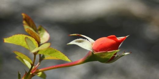 Uzaklaştırma Duası Okunuşu ve Anlamı